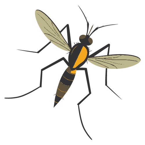 Fenetex-branded mosquito illustration representing motorized insect screen protection
